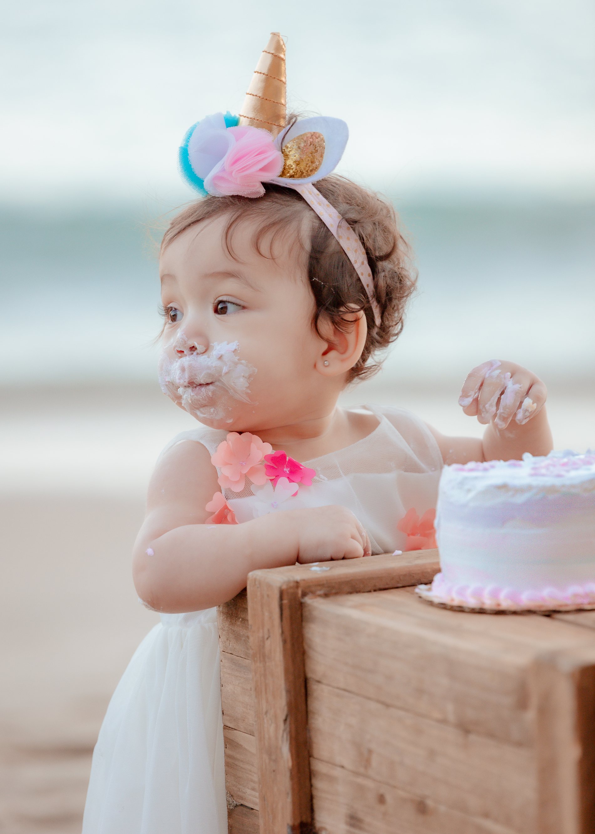 Charlotte Cake Smash Birthday portrait by Pak Studios