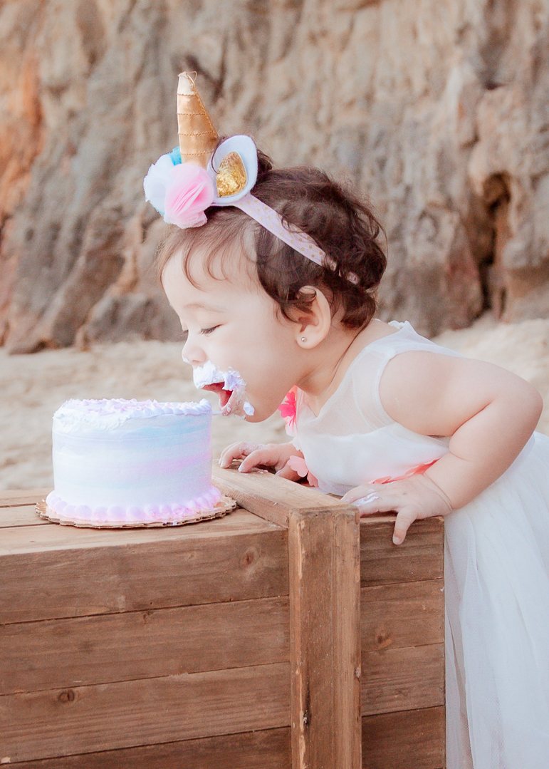 Charlotte Cake Smash birthday portrait by Pak Studios in Arizona birthday portrait session